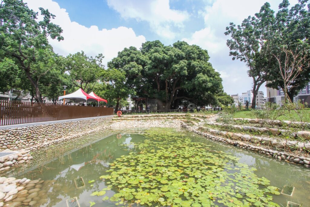 茄苳樹王文化生態園區景觀生態池