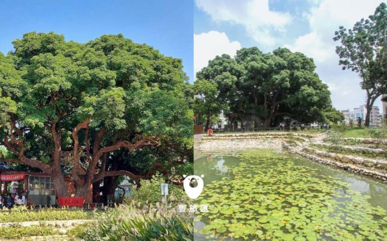 台中茄苳王公