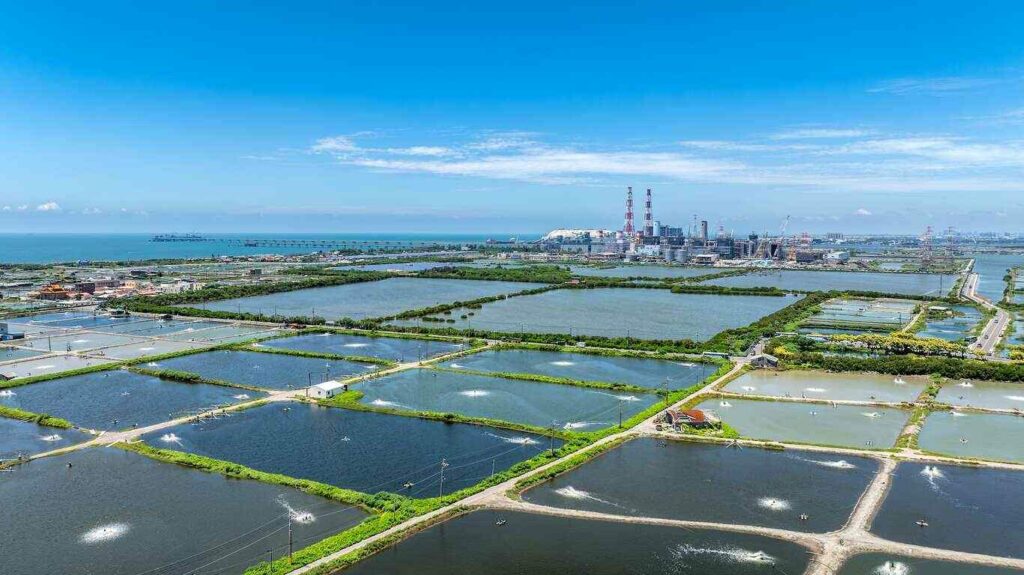 永安濕地