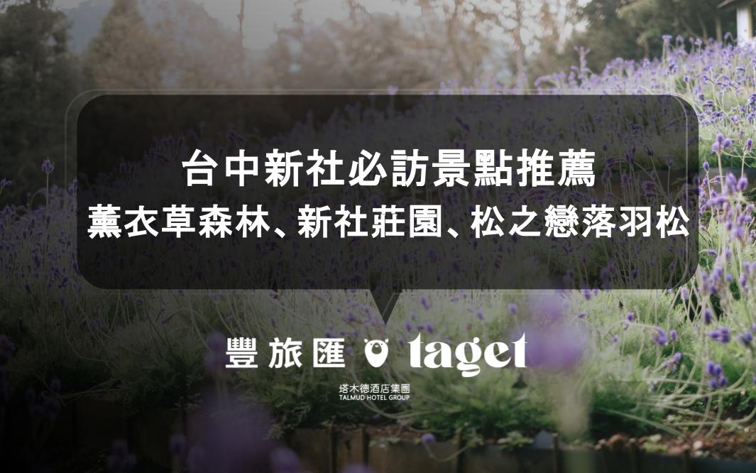 台中新社必訪景點推薦|薰衣草森林、新社莊園、松之戀落羽松